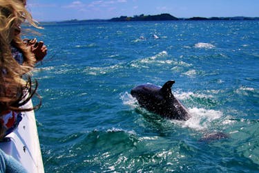 Dolfijnen kijken in Salalah